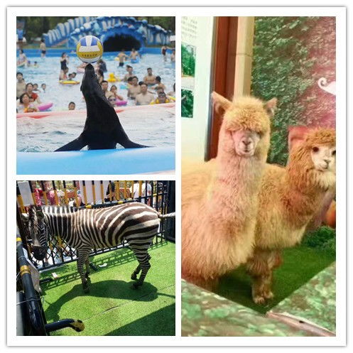 建甌對外出租企鵝展覽租賃