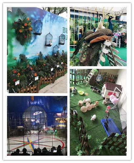 廣東五指山市附近馬戲團(tuán)表演出租