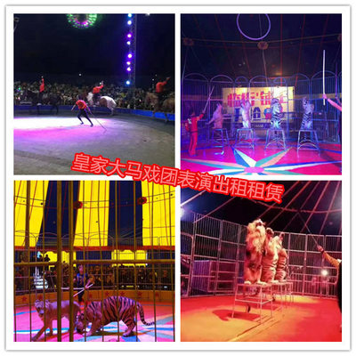 海豹租賃衡陽(yáng)市馬戲團(tuán)表演出租