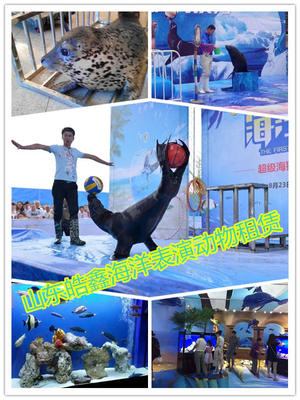 哪有馬戲團(tuán)表演出租廣西省貴港市人員雜技租賃