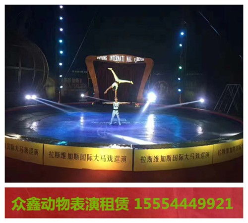 綏化市馬戲表演出租當地的資源