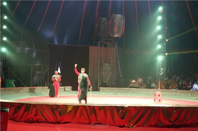 棗強(qiáng)出租多種會(huì)表演的動(dòng)物