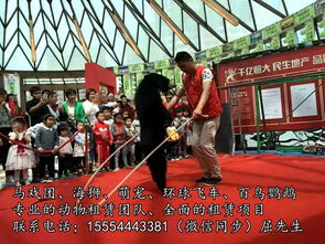 馬戲團(tuán)出租 宜賓出租海獅 馬戲團(tuán)表演