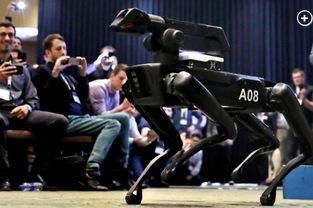 波士頓動力與太陽馬戲團(tuán)合作 由spot機(jī)器狗參加演出