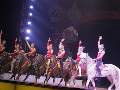 本地大型雜技表演,小丑表演,馬戲團商演聯系電話