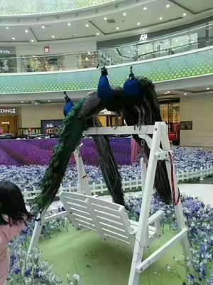 重慶馬戲團表演出租演出/租賃2022已更新(今日/動態)