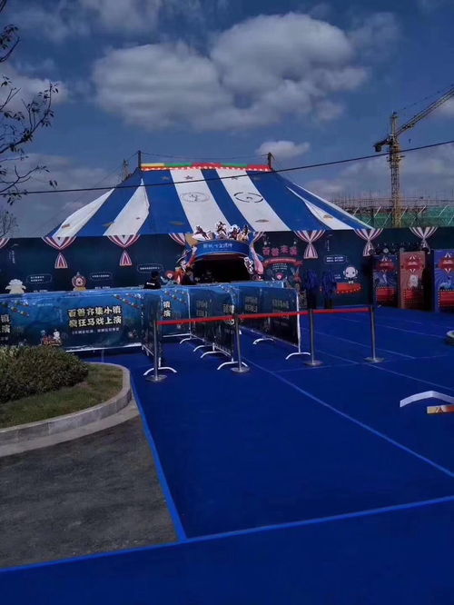 馬戲團(tuán)演出出租策劃方案馬戲團(tuán)表演節(jié)目那些