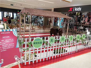 萌寵動物租賃養(yǎng)殖衢州