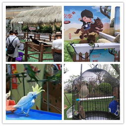 衛(wèi)輝市附近出租馬戲團(tuán)大飛輪表演聯(lián)系電話