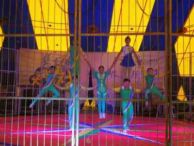 金華馬戲團表演出租團隊聯(lián)系電話資源