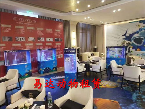 馬戲團(tuán)表演出租租賃馬戲團(tuán)大飛輪表演出租租賃價(jià)格優(yōu)惠.云浮