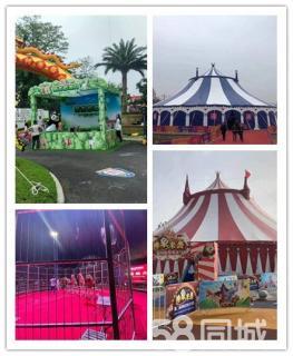 當(dāng)?shù)馗叨舜篑R戲團表演動物租賃