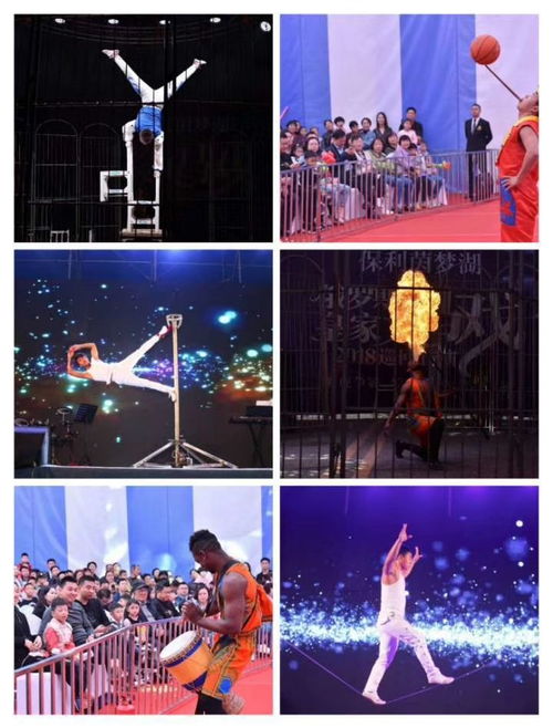 小馬戲表演租賃馬戲團表演出租價格