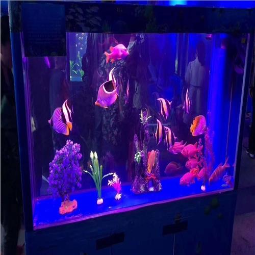 肅北縣國際馬戲團(tuán)表演