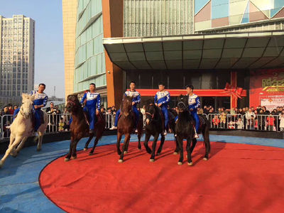 租賃動(dòng)物皇家馬戲團(tuán)商業(yè)慶典互動(dòng)暖場(chǎng)