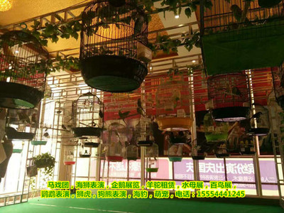 皇家馬戲團(tuán)出租|上海市-企匯網(wǎng)