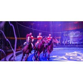 馬戲團(tuán)出租 河北馬戲團(tuán)雜技