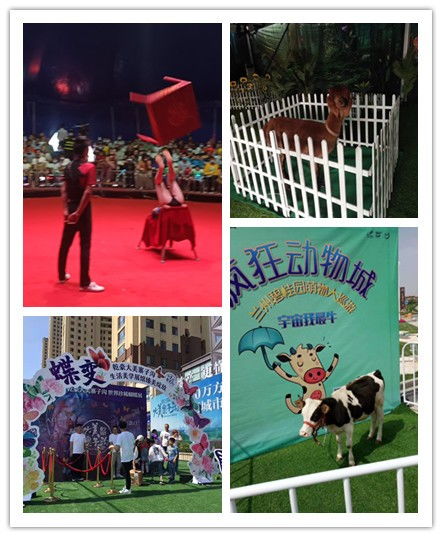 湖南衡陽市哪有租賃馬戲團表演的萌寵