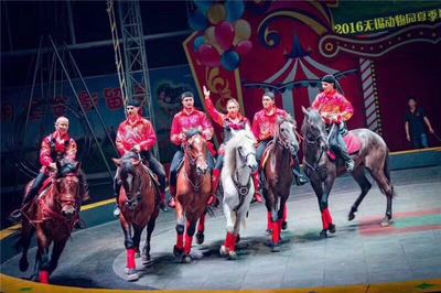 租賃動物皇家馬戲團(tuán)商業(yè)慶典互動暖場