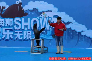 馬戲表演什么價格重慶馬戲團(tuán)表演租賃7天多少錢