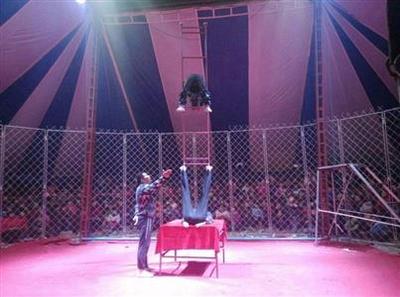 馬戲團表演公司大型馬戲團精彩演出馬戲團表演出租