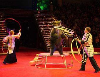 蚌埠市馬戲團表演-出租海獅-出租企鵝_志趣網(wǎng)