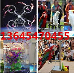 新疆阜康專業出租動物表演租賃公司出租動物動物表演