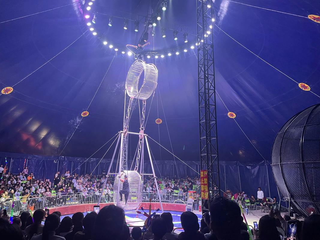 宣城高空雜技#動物表演哪里有和馬戲團合作分成比例水上飛人表演