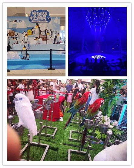 清鎮(zhèn)市馬戲團表演出租與周邊合作指南