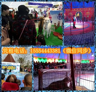 環(huán)球飛車表演與冰雕展出租賃服務(wù)在湖北宜昌遠安及山東地區(qū)的應(yīng)用與發(fā)展