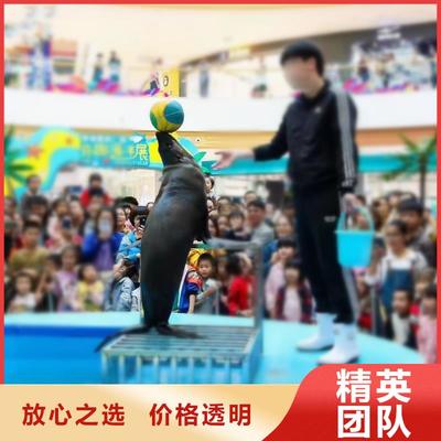 寧德市霞浦縣轄區(qū)內(nèi)雜耍演出與動物展覽服務(wù)介紹