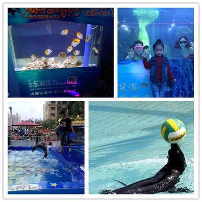 德宏特色馬戲團出租 斗雞斗羊表演活動方案